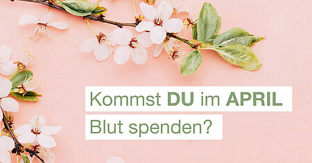 Kommst du im April blut spenden?