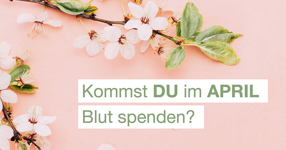 Kommst du im April blut spenden?